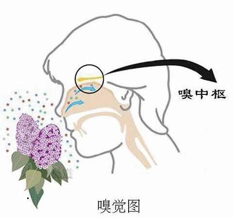 src=http_%2F%2Fd.ifengimg.com%2Fw480%2Fimg1.ugc.ifeng.com%2Fnewugc%2F20181017%2F14%2Fwemedia%2F694598106f8305e207e8fd4c05bb4fcc4ff18ef0_size49_w500_h508.jpg&refer=http_%2F%2Fd.ifengimg_看图王.jpg