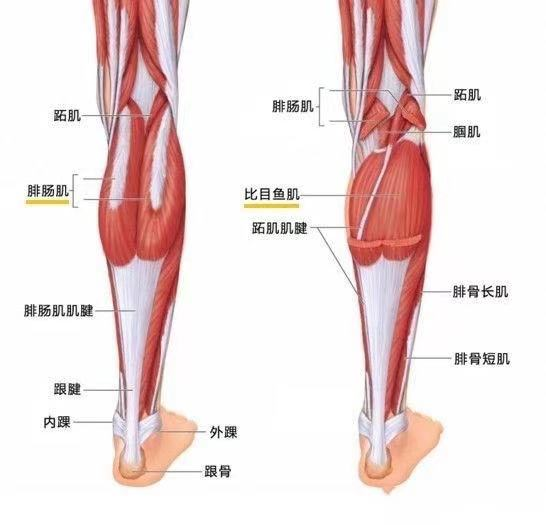 运动时造成肌肉拉伤怎么办？做到以下几点可以避免不必要的伤害