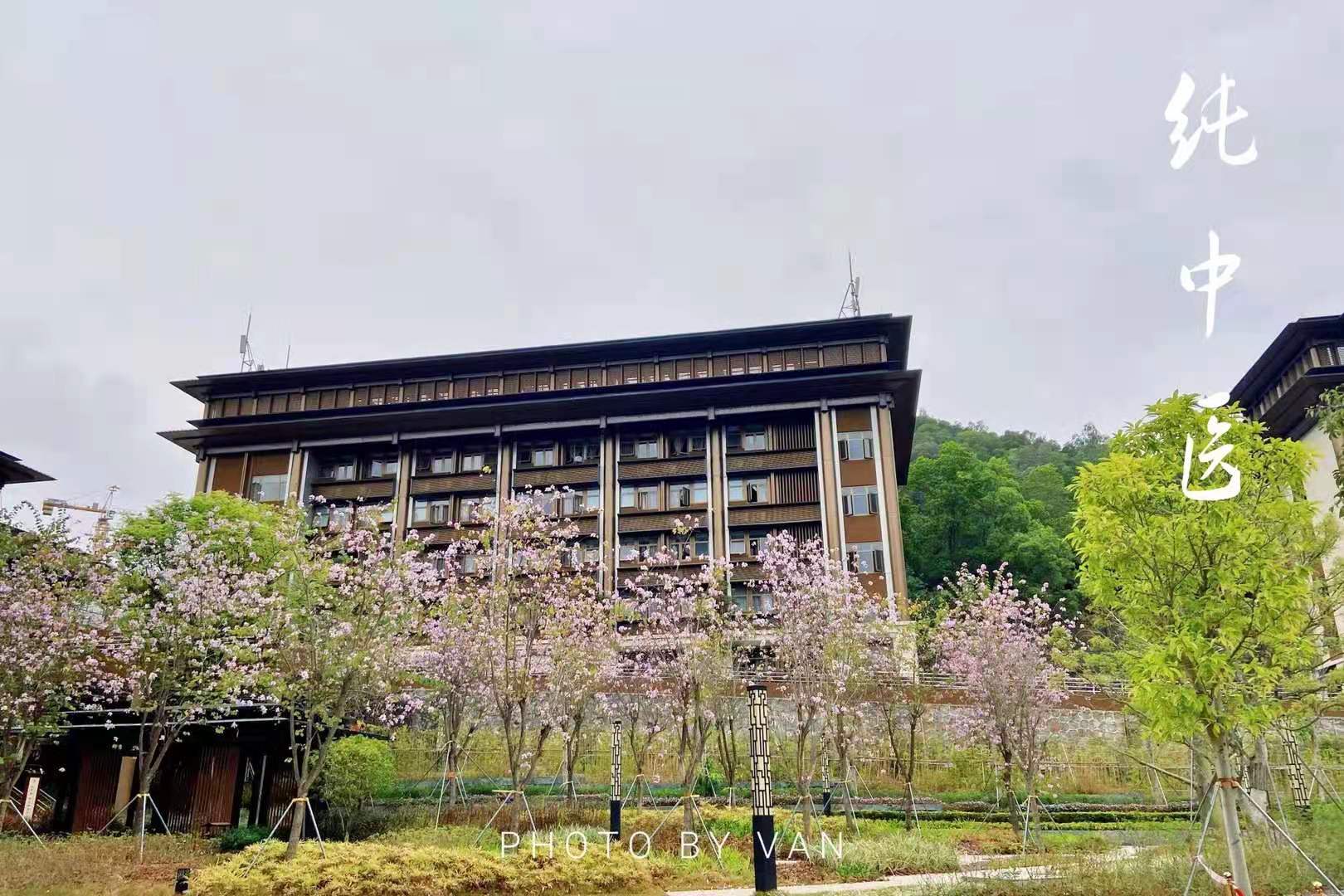 春季医院2.jpg