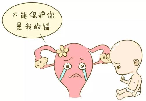 u=3261718383,1372626358&fm=26&gp=0.jpg