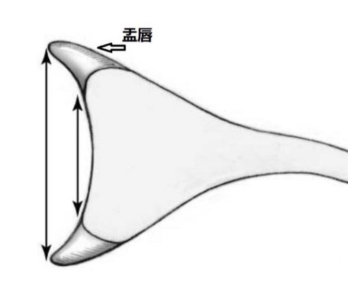 捕 获.JPG