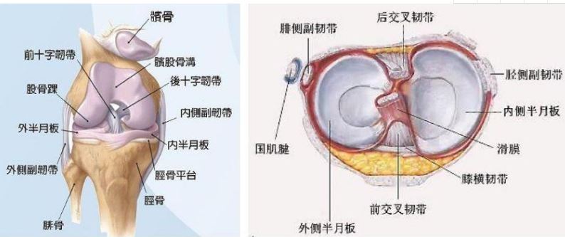 捕获.JPG