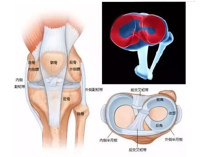 捕获.JPG