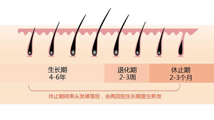 src=http___pic2.zhimg.com_50_v2-8fefc9c386878b08ac813c676857d8d8_hd.jpg&refer=http___pic2.zhimg.jpg