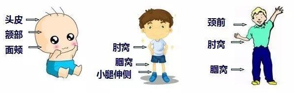 src=http___5b0988e595225.cdn.sohucs.com_images_20180730_1e62006425064af9b41358e21384a416.jpeg&refer=http___5b0988e595225.cdn.sohucs.jpg