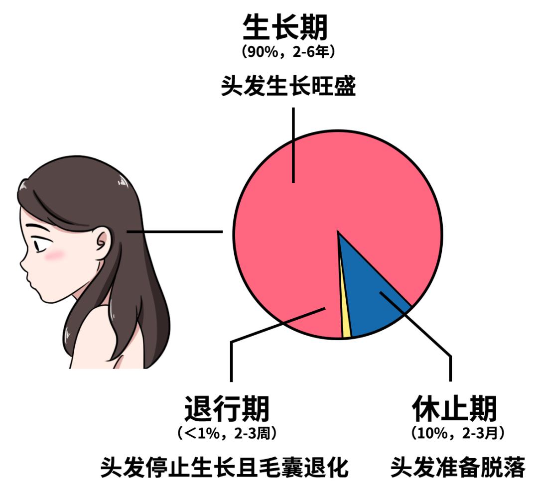src=http___x0.ifengimg.com_res_2020_893FBC42B40AE93AB4FDCC4A62EC041BF003CA67_size149_w1080_h994.png&refer=http___x0.ifengimg.jpg