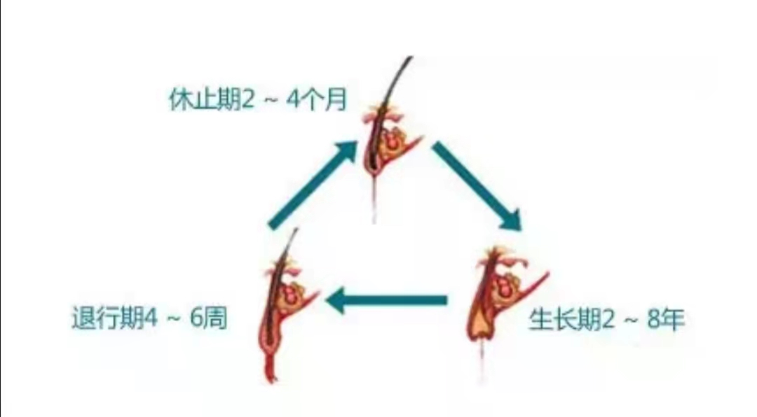 微信图片_20210404164145.jpg