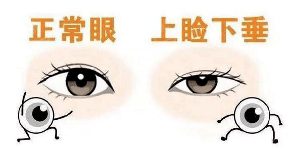 0f1bc0ee81f84452852091fea0731433.png