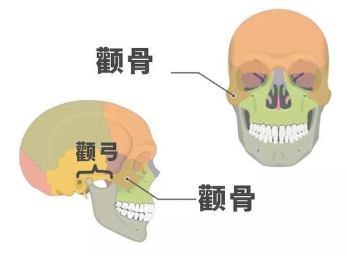 下载 (1).jpg