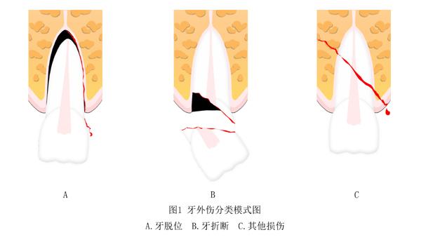 1618839008352199.jpg 11.jpg