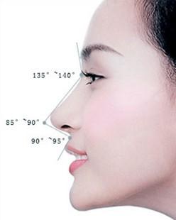 u=3712205263,127017280&fm=26&gp=0.jpg