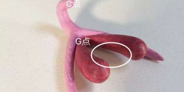 微信图片_20210425163512.jpg