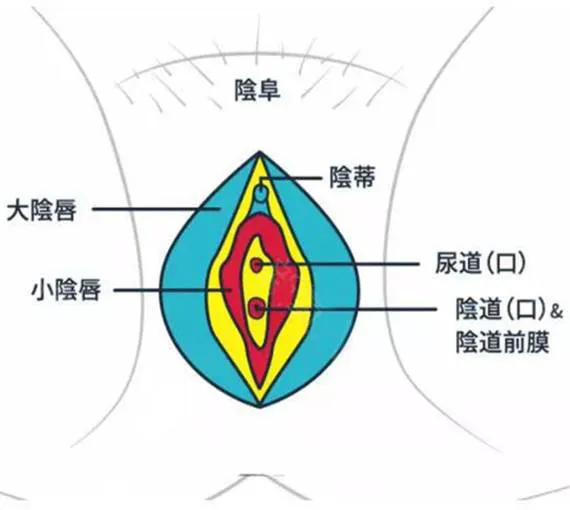 d67b0296ce04408884af3e029d6be2d.png