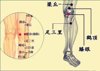 膝关的准确位置图片图片