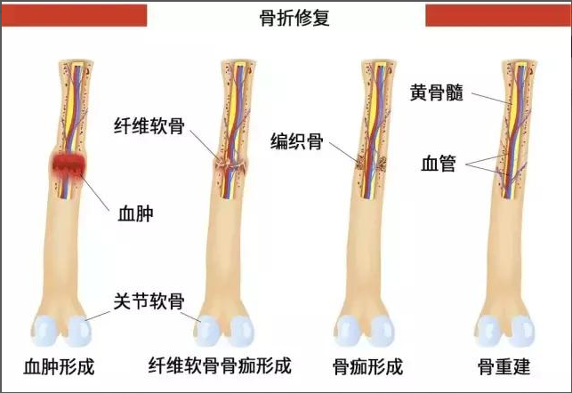 1620726574(1).png