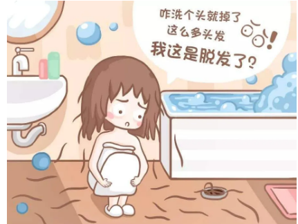 我拿什么拯救“你”，发际线