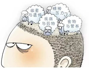 我拿什么拯救“你”，发际线