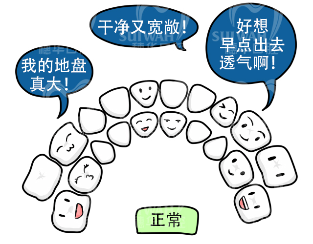 1621305243131302.jpg 2019-5-5配图6.jpg