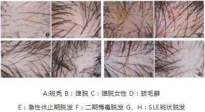 微信截图_20210524145028.jpg