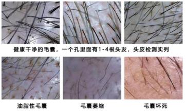 微信截图_20210524145157.jpg