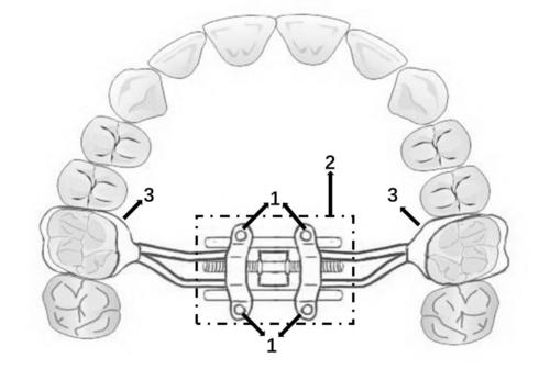 u=3055094210,223742511&fm=26&gp=0.jpg