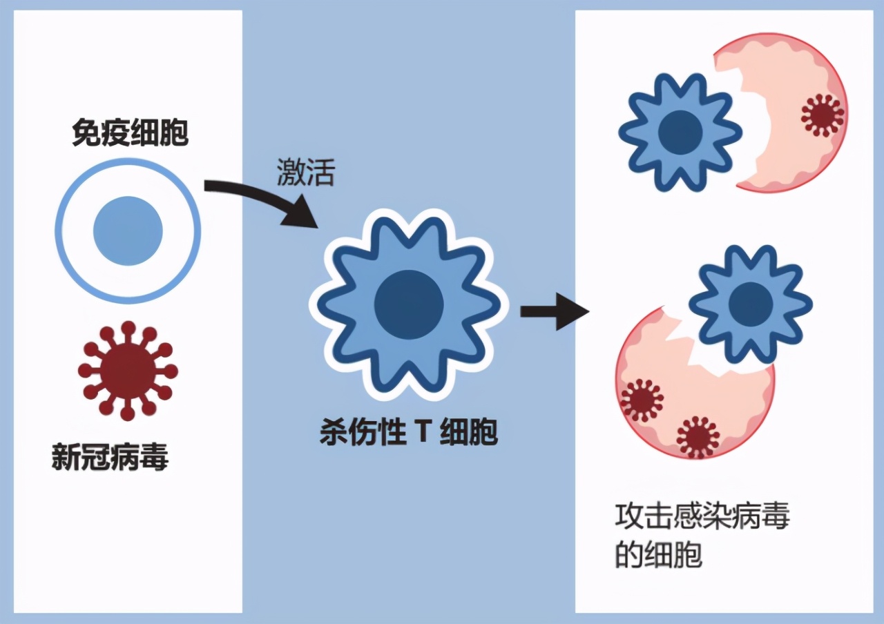 1针、2针、3针疫苗有何不同？打了2针的还能打1针吗？