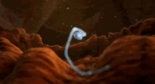 df98503cd194c9b69c287e2cd2800b52.gif