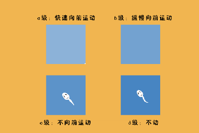 精子游动ABCD图示.gif