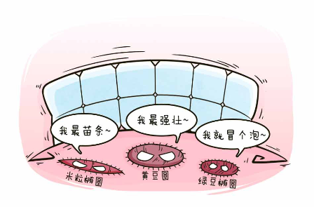 u=2338054608,316510724&fm=26&gp=0.jpg