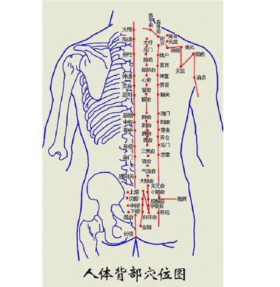 男人壮阳拔罐的位置图图片