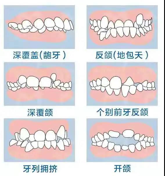 微信图片_20210715101238.jpg