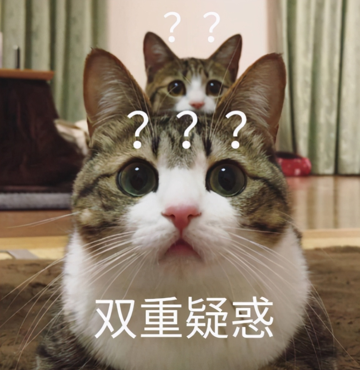 植入脑起搏器后，这些术后事项帕友们一定要注意