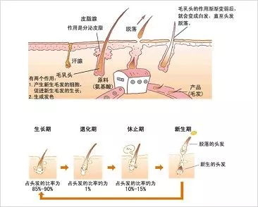 0ac13eab58ae614ab5a27b4f25093af.png