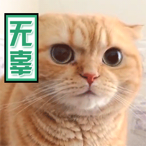 无辜喵.gif