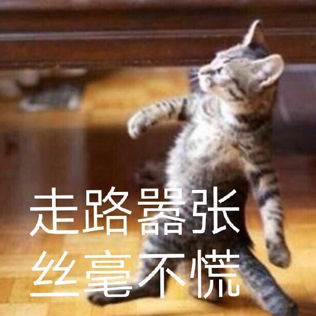 嚣张.jpg