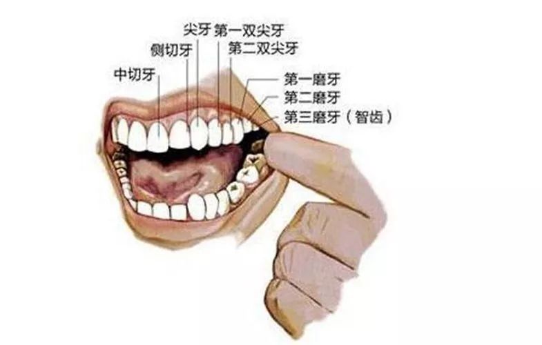 R-C (1).jpg