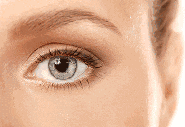 1.gif