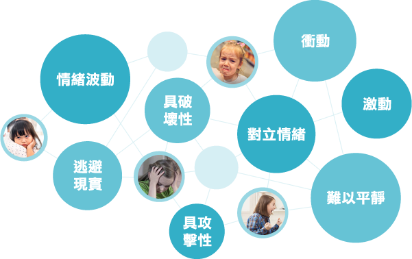 product1-img4 (1).png