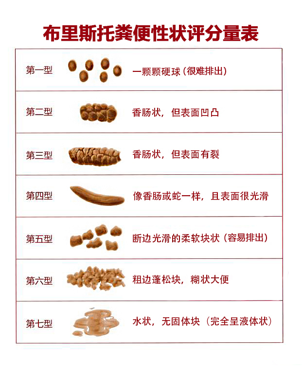 布里斯托粪便性状评分量表.jpg