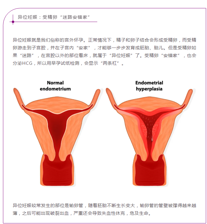 企业微信截图_16287353935395.png