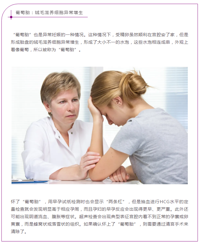 QQ图片20210812103148.png