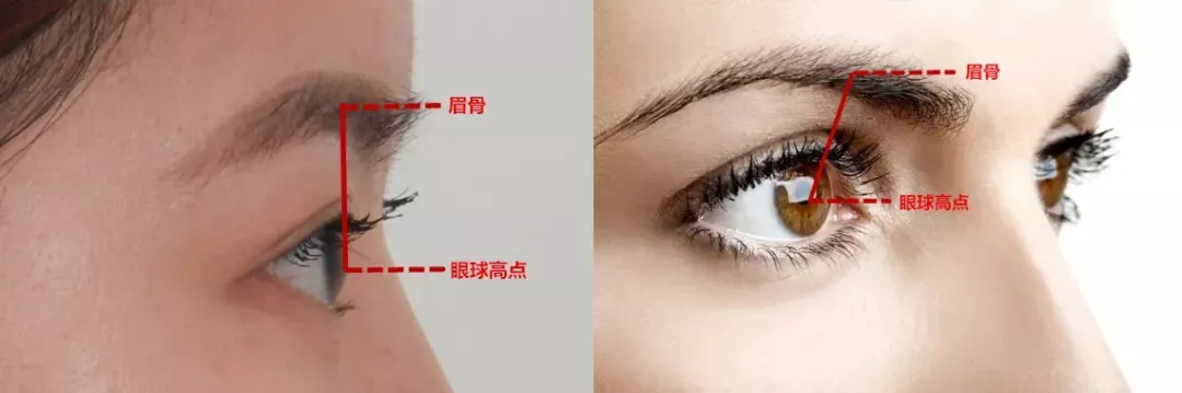 3a01753d3dd8b5ea3b7ec55574246398-sz_450531.jpg