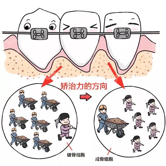 微信图片_20210813135523.jpg