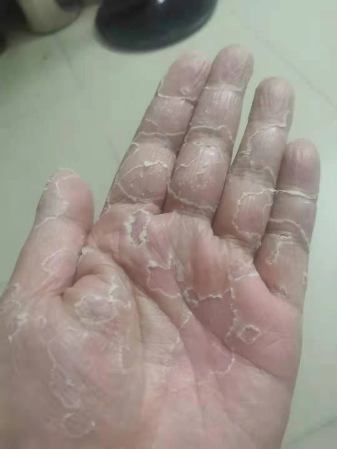 87002771534977030.jpg