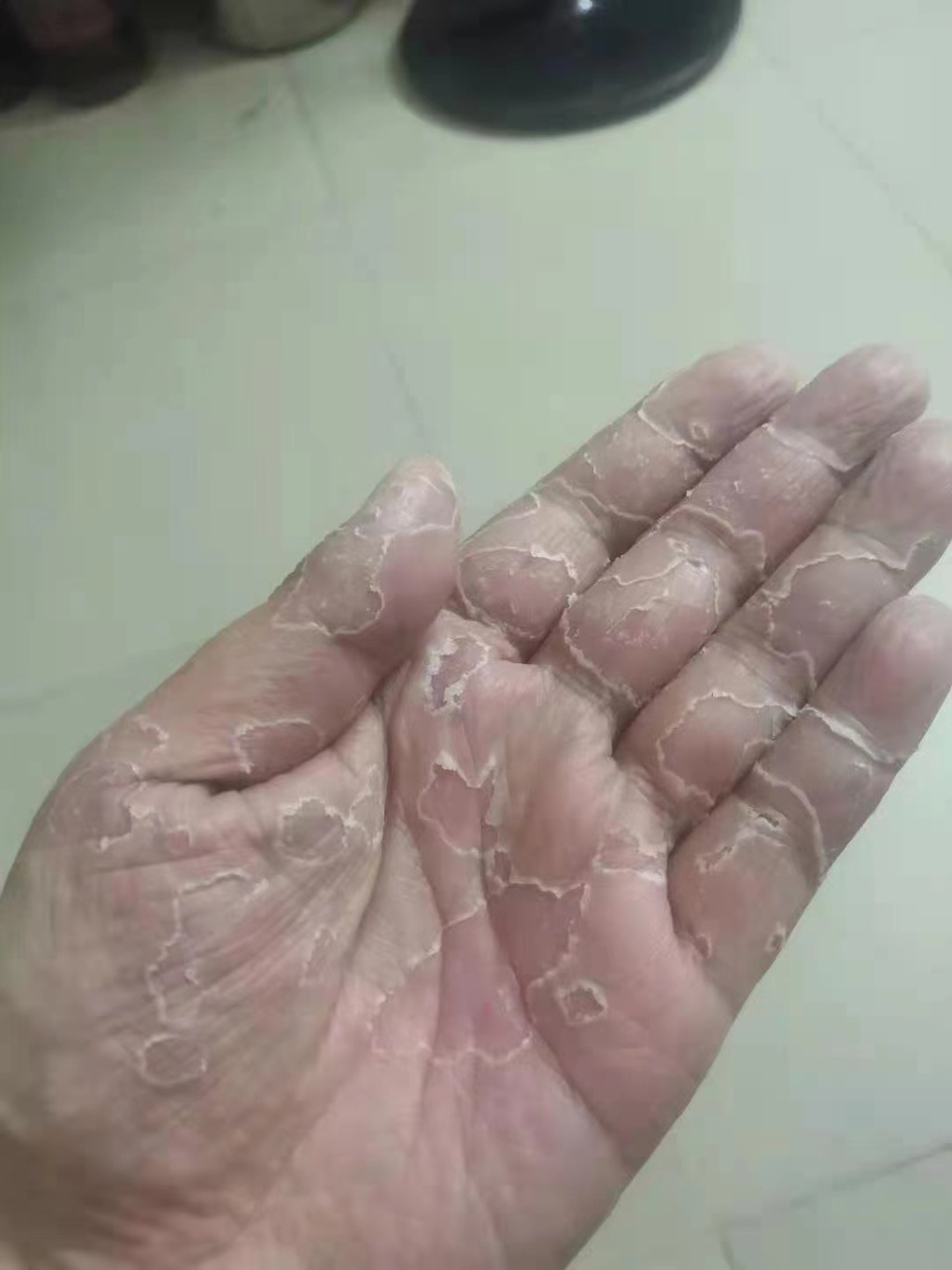 75591198642528338.jpg