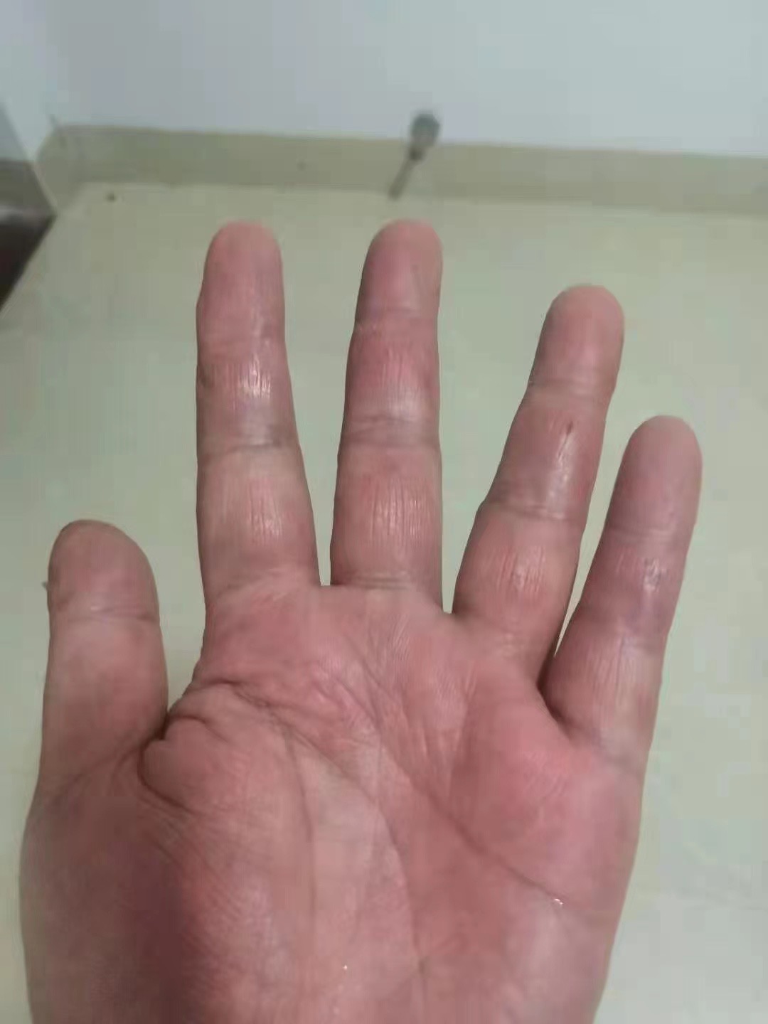370847682638175426.jpg