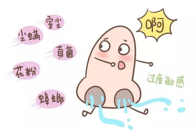 过敏原.jpeg