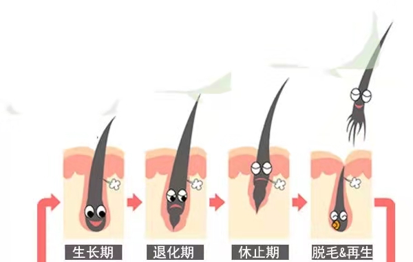 a6488a66a4f77c63aa35a3fef6b3982.jpg