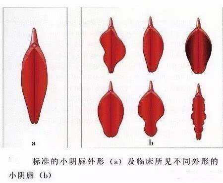 微信图片_20210903231529.jpg