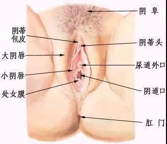 微信图片_20210903231022.jpg